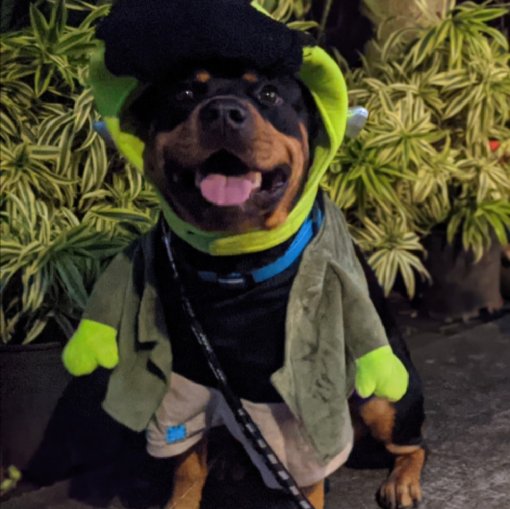 Frankenstein Pet Costume XXL
